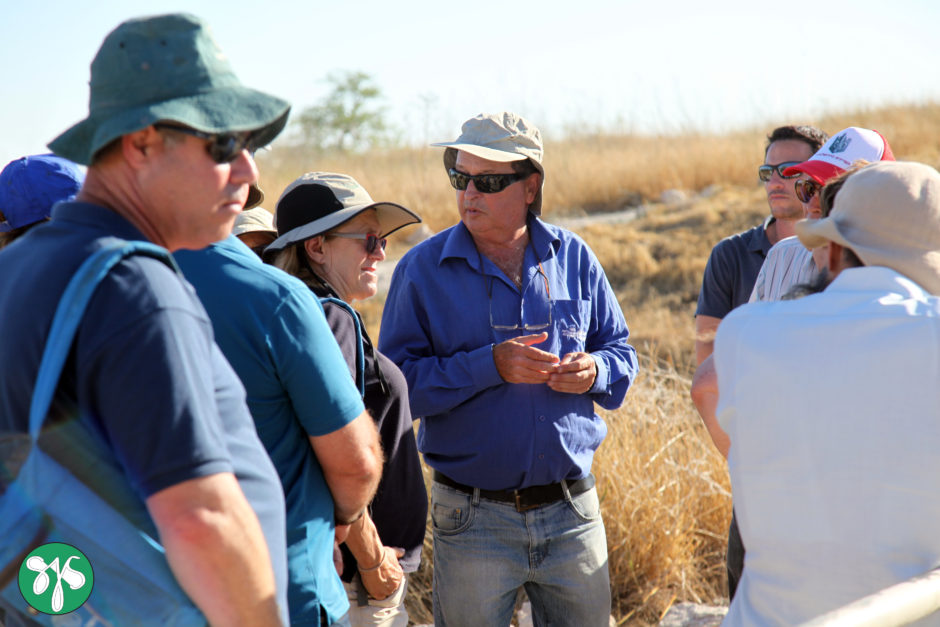 Tel Gezer Israel Archaeology