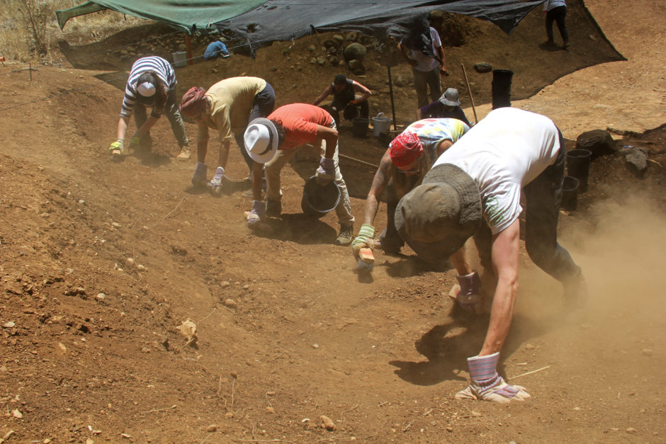 Tel Dan Israel Archaeology