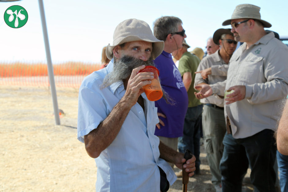 Tel Gezer Israel Archaeology
