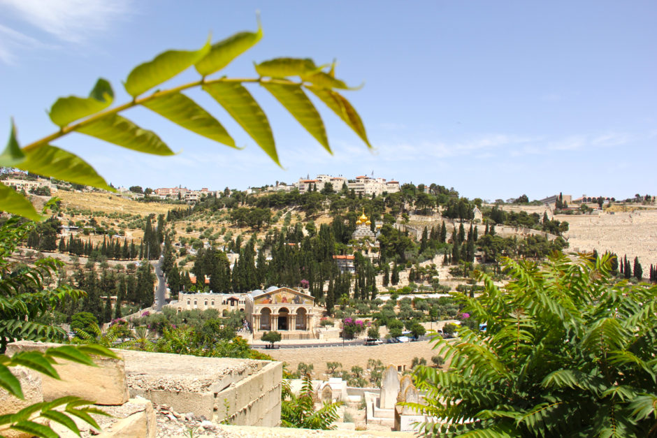 Israel Jerusalem Mt of Olives travel
