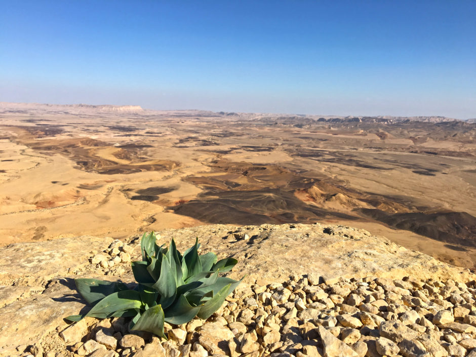Israel Negev desert travel