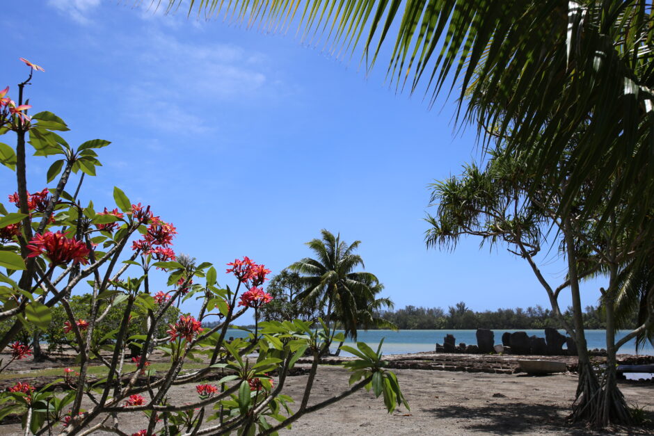 Huahine archaeology marae with flowers and water view