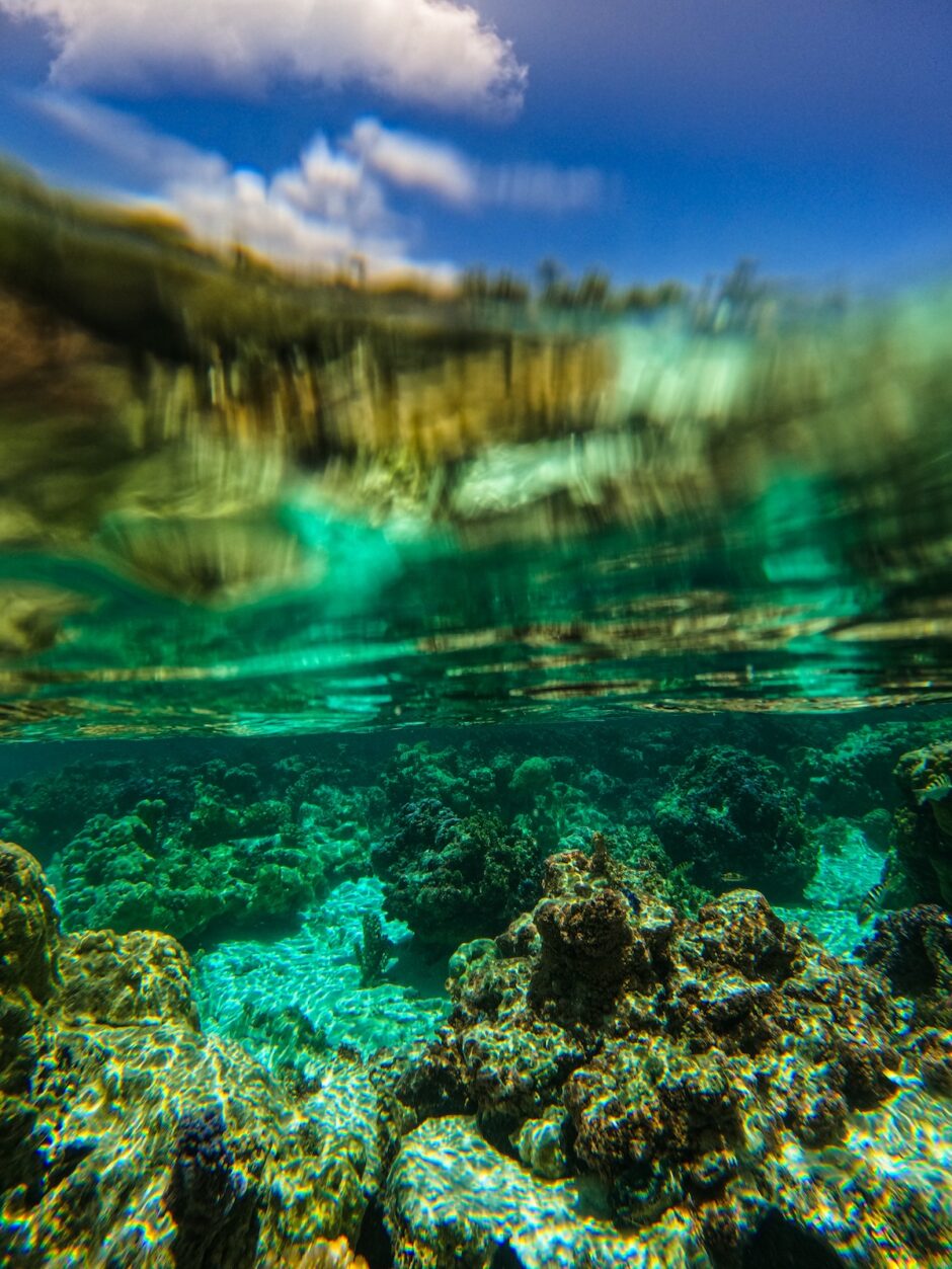 Tahiti snorkeling underwater GoPro photo