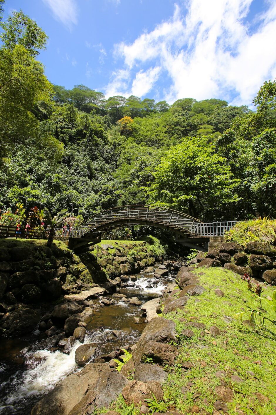 Tahiti waterfall site - bridge over stream