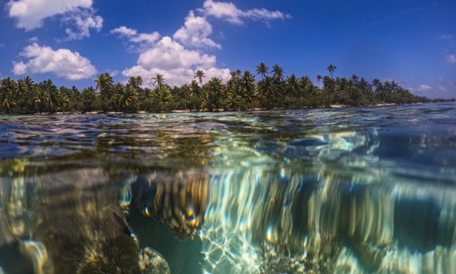 Tahiti water